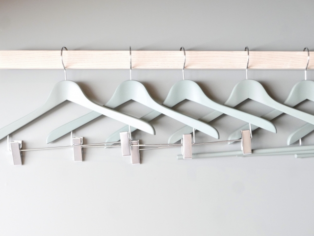 Hanger—eager to tidy itself up before the clothes.