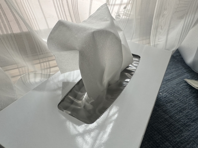 The last piece in the tissue box